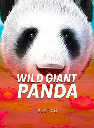 รูปแพนด้ายักษ์บนพื้นสีส้ม Wild Giant Panda ค่าย SLOT XO